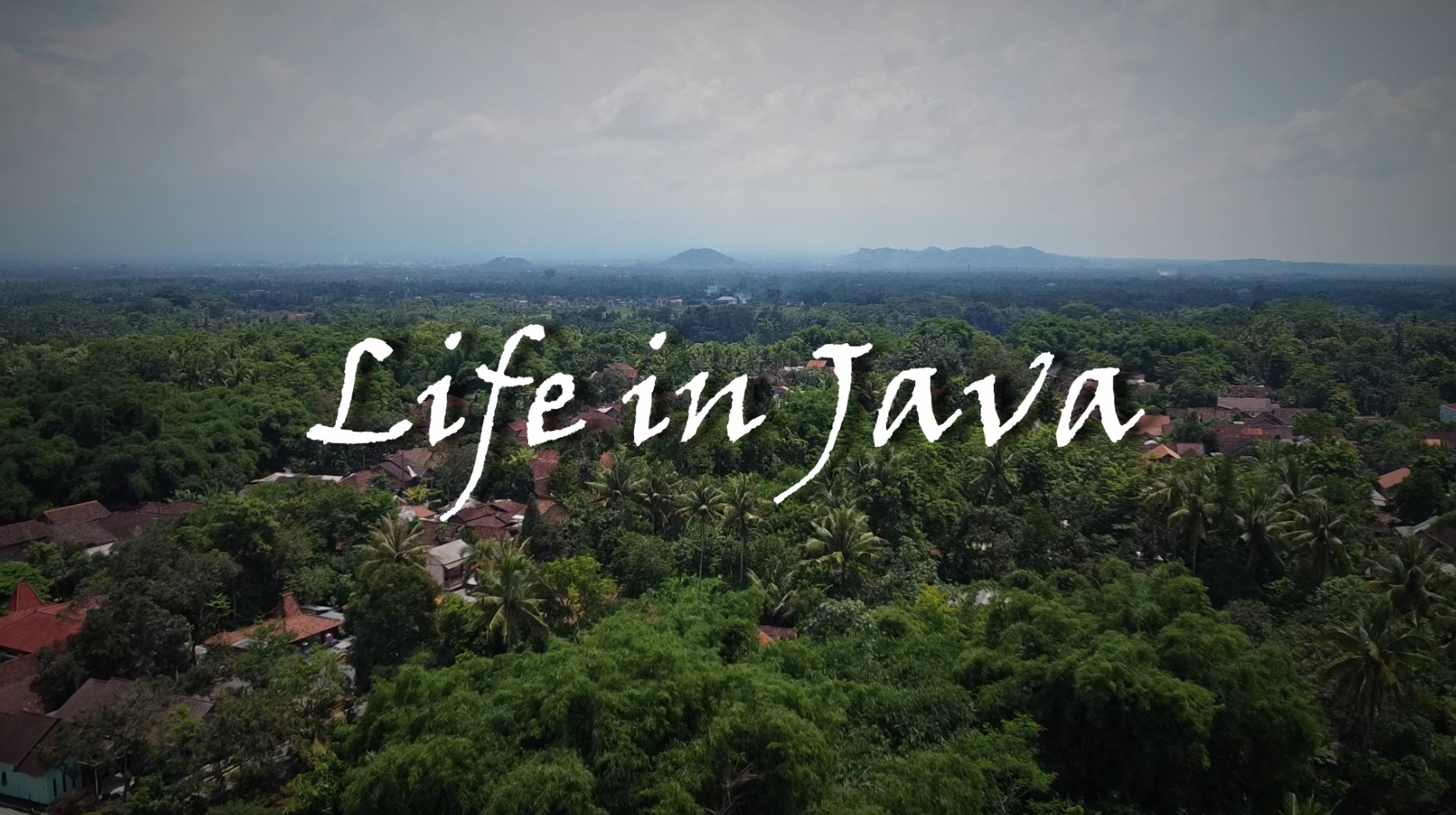 Life in Java thumbnail